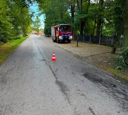 Strażacy usunęli powalony konar w Kozłowicach