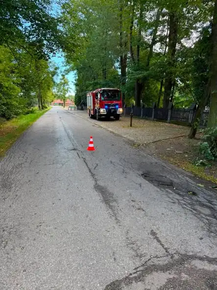 Strażacy usunęli powalony konar w Kozłowicach