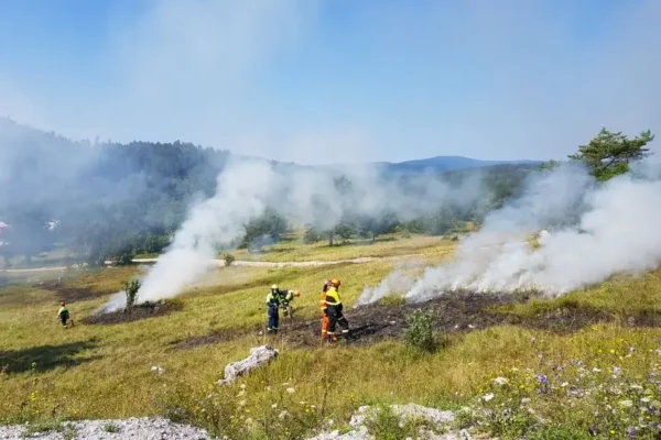 Pożar trawy w Myślinie – strażacy w akcji