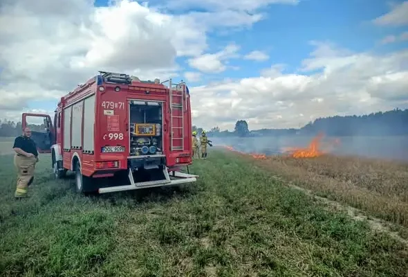 Pożar ścierniska w Praszce – strażacy walczyli z ogniem