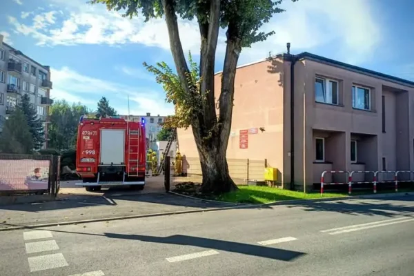 Praszka: strażacy usuwali gniazdo agresywnych owadów z elewacji szkoły specjalnej