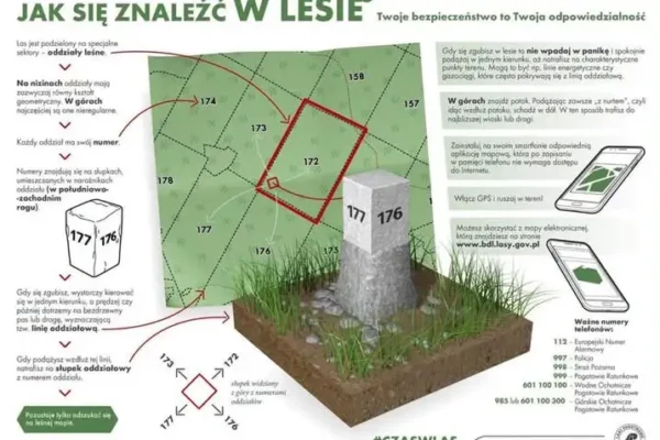Sezon na grzyby w pełni – opolska policja apeluje o rozsądek w lesie