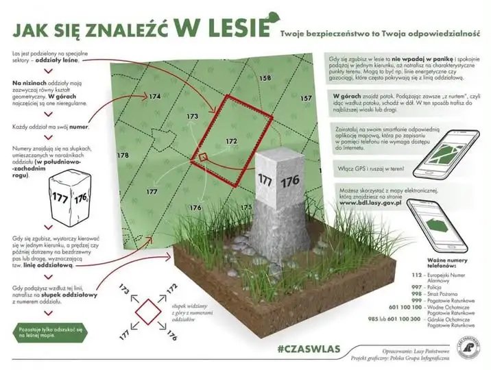 Sezon na grzyby w pełni – opolska policja apeluje o rozsądek w lesie
