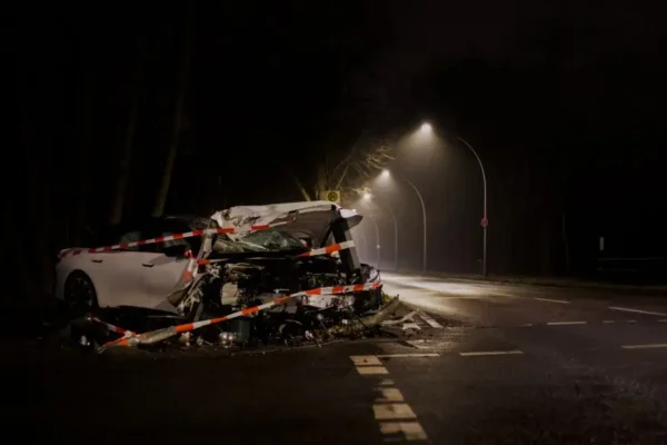 Dąbrowica: auto zderzyło się z dziką zwierzyną. Kobieta i dwuletnie dziecko bez obrażeń