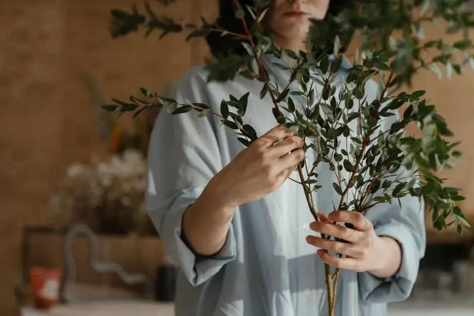 Zajęcia botaniczne w Kamieńcu – zapisy trwają
