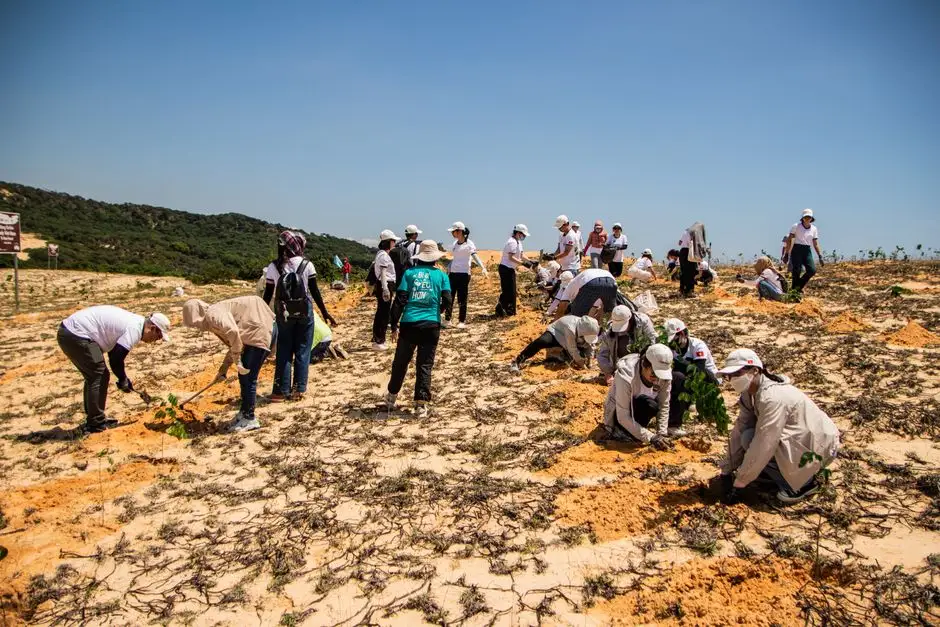 Praszka sadzi 30 drzew w parku przy ul. Kolorowej – początek projektu „Skwer z klimatem”